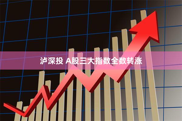 泸深投 A股三大指数全数转涨