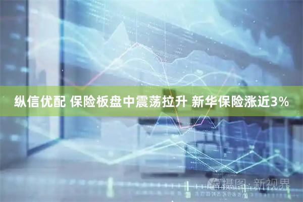 纵信优配 保险板盘中震荡拉升 新华保险涨近3%