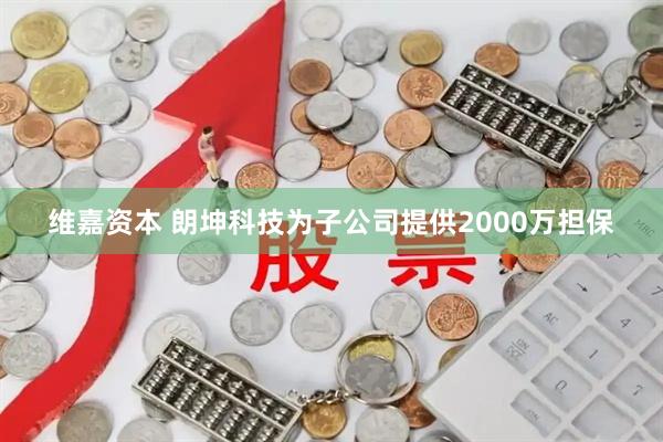 维嘉资本 朗坤科技为子公司提供2000万担保