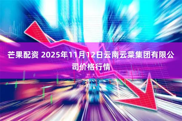 芒果配资 2025年11月12日云南云菜集团有限公司价格行情