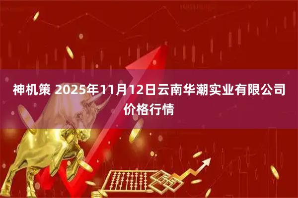 神机策 2025年11月12日云南华潮实业有限公司价格行情