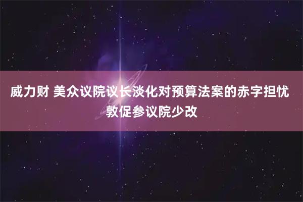 威力财 美众议院议长淡化对预算法案的赤字担忧 敦促参议院少改