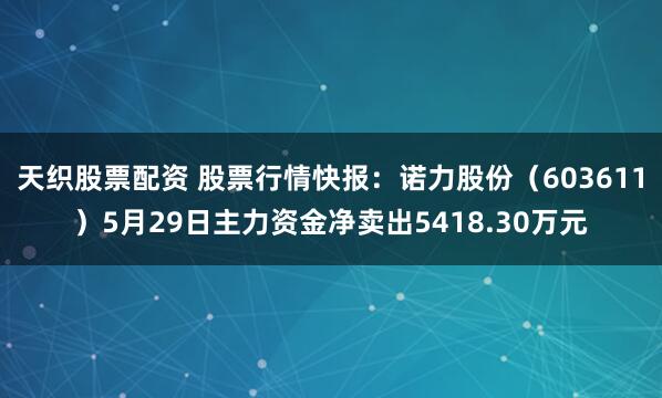 天织股票配资 股票行情快报：诺力股份（603611）5月29日主力资金净卖出5418.30万元