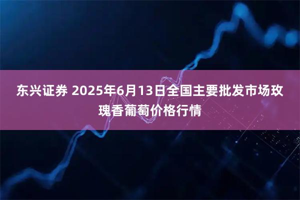 东兴证券 2025年6月13日全国主要批发市场玫瑰香葡萄价格行情