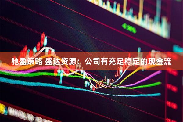 驰盈策略 盛达资源：公司有充足稳定的现金流
