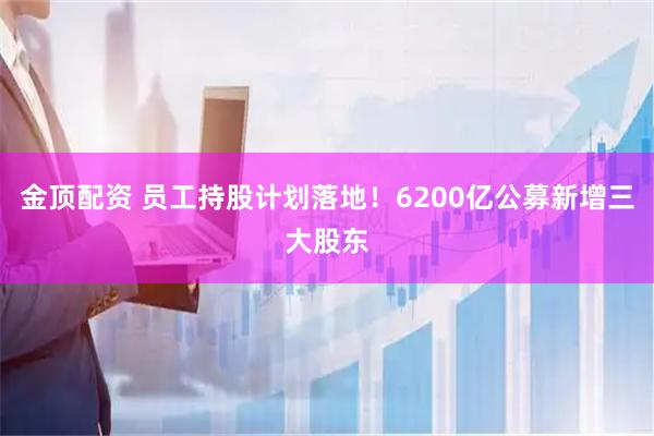 金顶配资 员工持股计划落地！6200亿公募新增三大股东